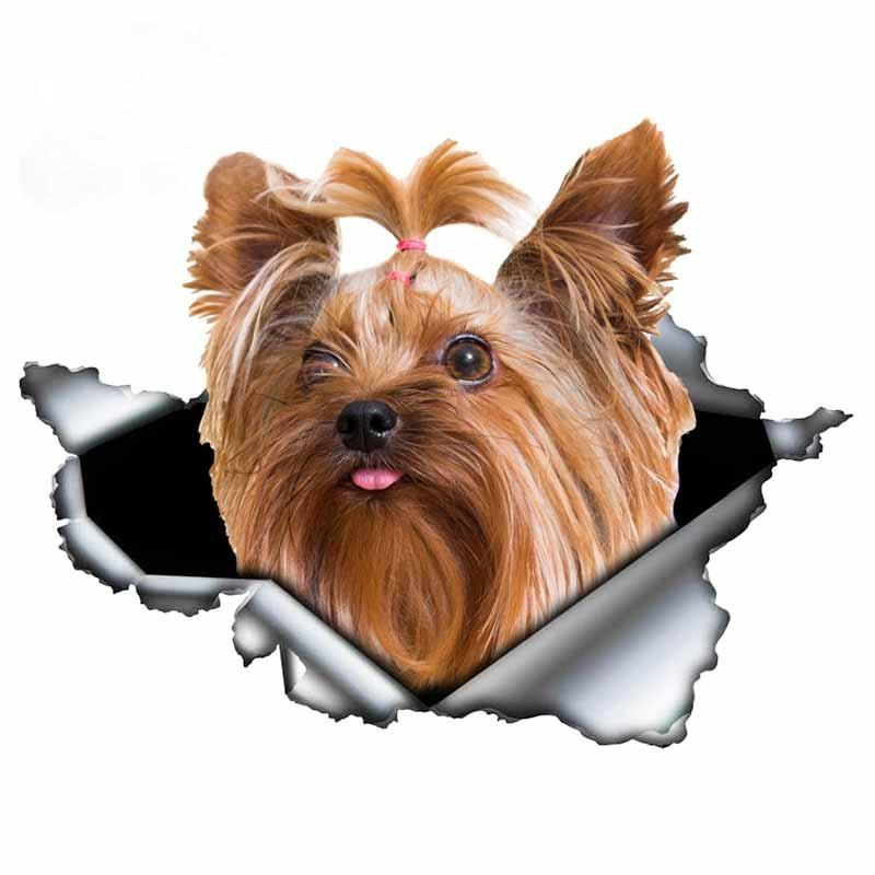 LYKX Yorkshire Terrier Pet Dog Styling Personality Sticker Torn Metal Vinyl Decal Animal Car Stickers Window Bumper