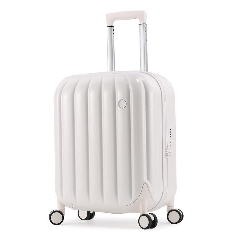 Business Travel Spinner Suitcase 20 inch