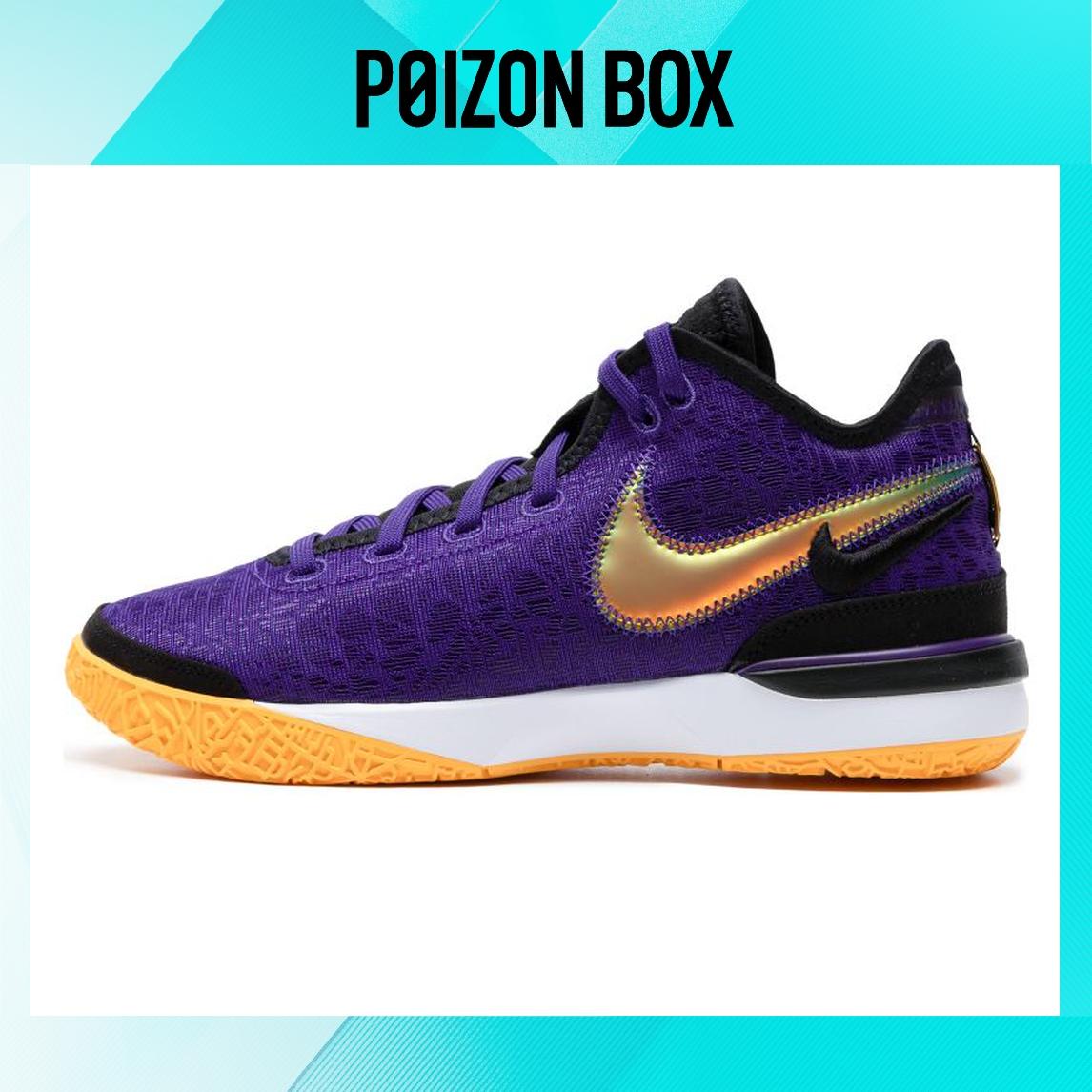 

кроссовки Nike Zoom LeBron NXXT Gen EP Purple DR8788-500