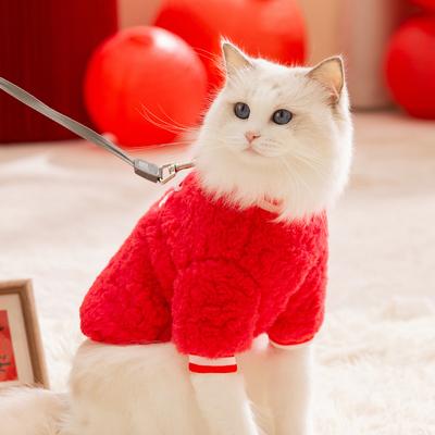 Abbigliamento e scarpe – Cappotti e giacche per cani