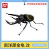 Beetle Insect Model Articulated Realistic 10 Joints Desktop Decor Ornament Chalcosoma Chiron Dynastes Grantii