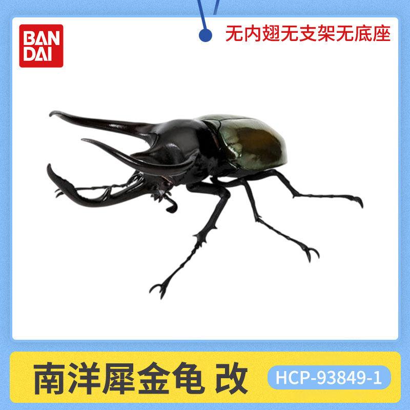 Beetle Insect Model Articulated Realistic 10 Joints Desktop Decor Ornament Chalcosoma Chiron Dynastes Grantii