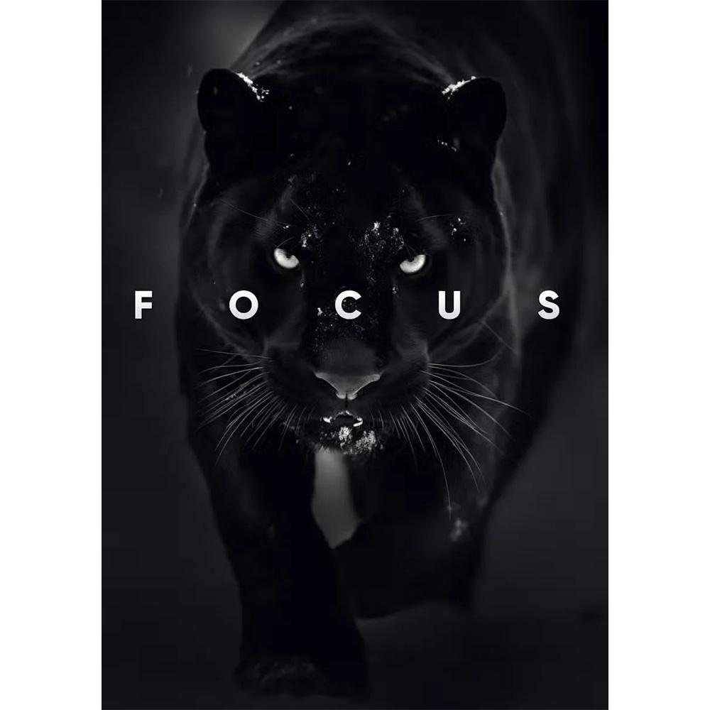 Animal Motivation Poster Panther Lion Motivational Canvas Posters Prints Canvas Painting Focus Conquer Fearless Mural Wall Decor