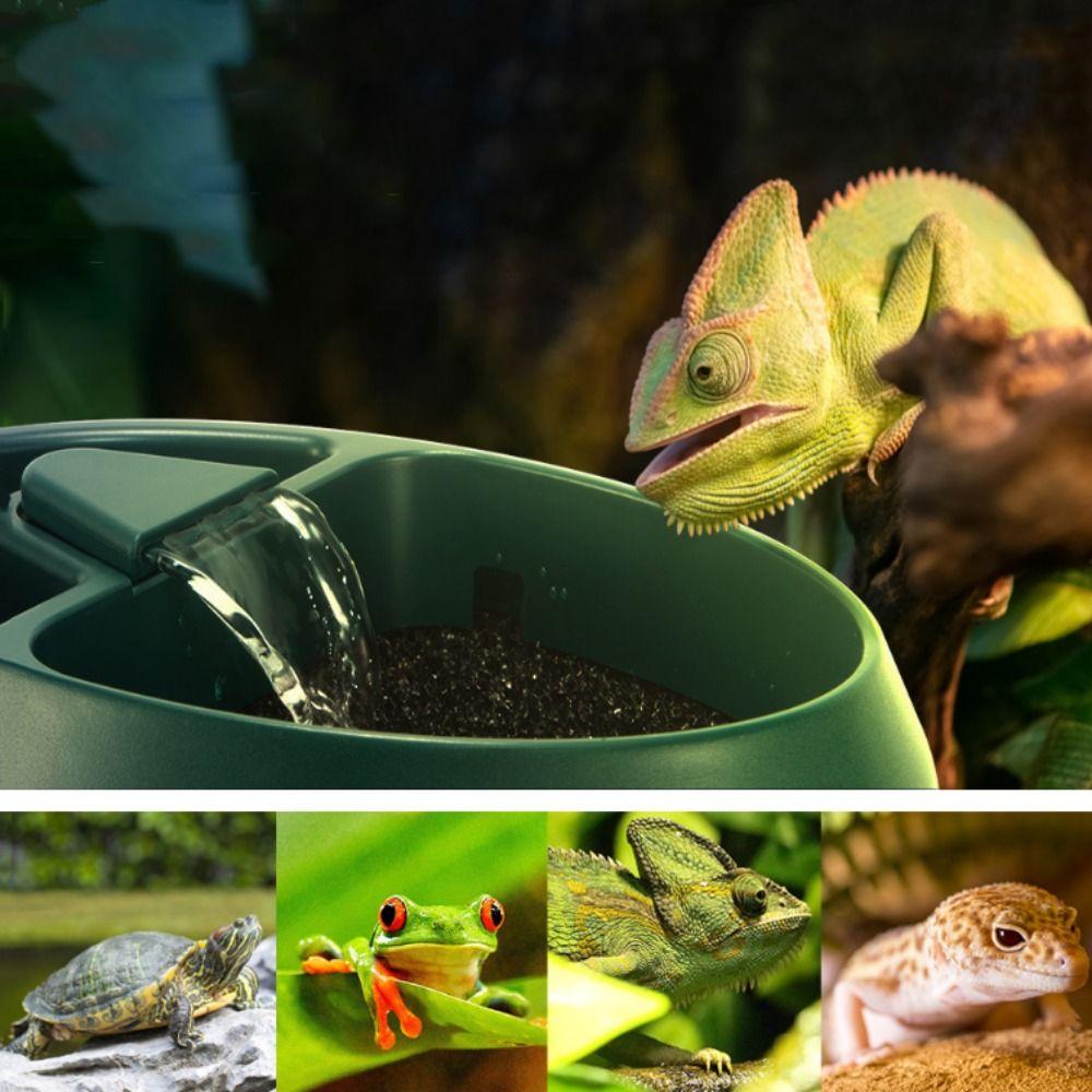 US Plugg Øgle Vanndrypper Plast Amfibie Drikkefontene Øgle Foss Gecko