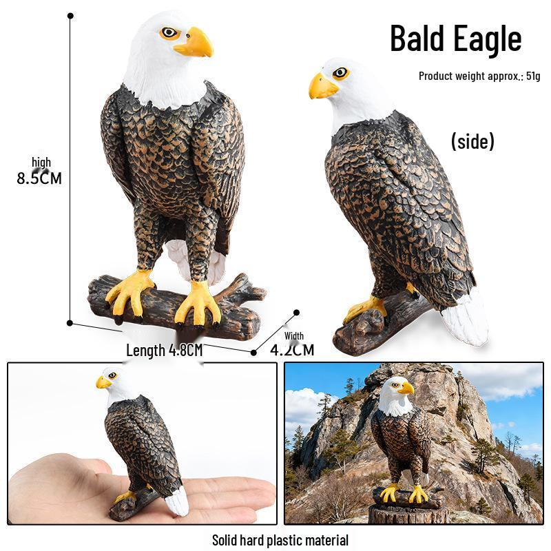 Children's Animal Simulation Toy Set: Eagle, Falcon, Secretary Bird, Owl Figurines