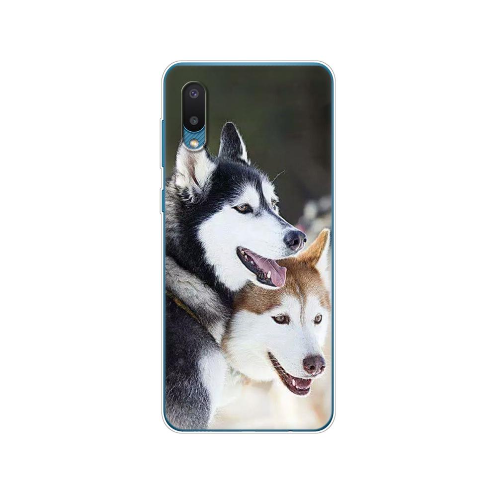For Samsung A02 M02 Cover Soft Silicon Tpu Phone Back Case For Samsung Galaxy A02 Galaxy M02 SM-A022G A022 Bumper 6.5inch Flower
