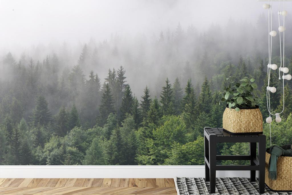 Photomural Trees In The Mist Non-Woven 312x219