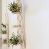 Für Innenwohnzimmer Balkon Makramee Pflanzenhänger Garten Blumentopfhalter Dekor Beigefarbene Baumwollseil Hängepflanzer