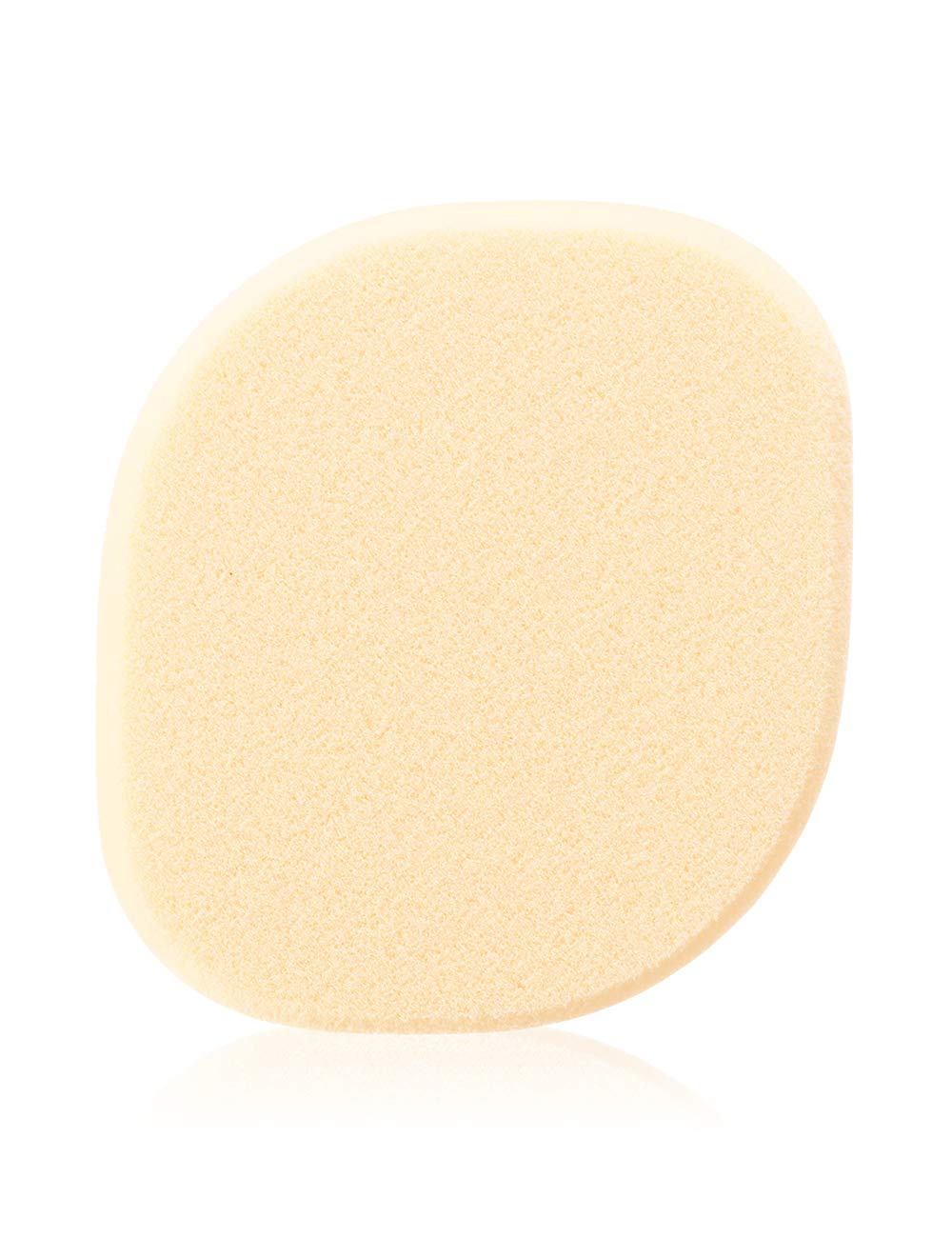 

d program foundation sponge liquid (d program)