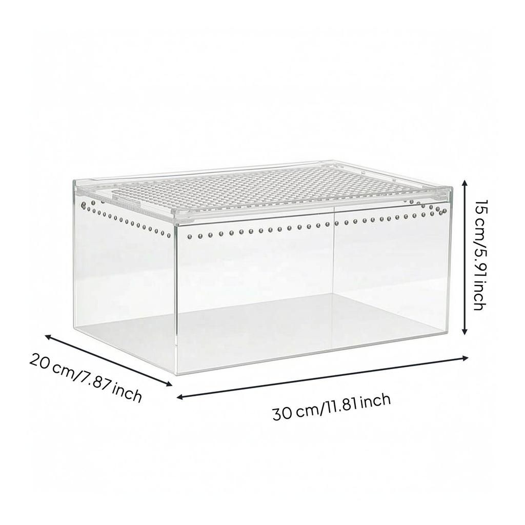 Transparent Reptile Terrarium | Ventilated Top Panel, Enclosure, for