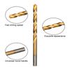 Titanium Plated 13pc Straight Shank Twist Bit 1.5-6.5mm Plastic Bag Package Drill Bit Electric Tool Accessory Set