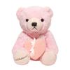 [Sears] Sears Teddy Bear Plush Toy with Heart-Shaped Jewelry Box Gift Set (Pink) Tdt-01-pk