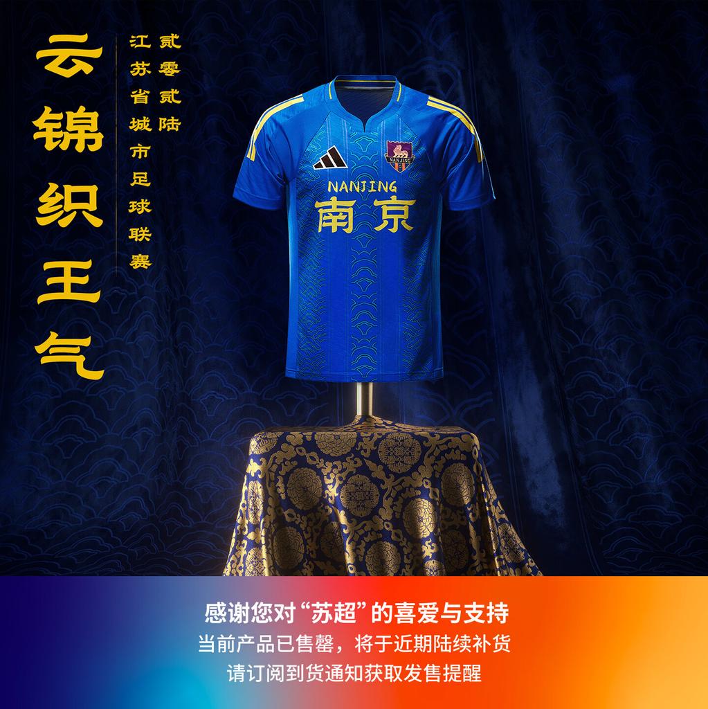 Adidas Soccer Jerseys Unisex Blue Moderate
