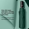 Modern Minimalist Automatic Folding Umbrella Windproof Rainproof For Adults