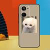 Crying Cat Memes For Realme 11 9 10 12 Pro Plus C55 C53 C51 C33 C31 C30 C25s C21Y C15 C11 GT3 GT Neo 5 Case