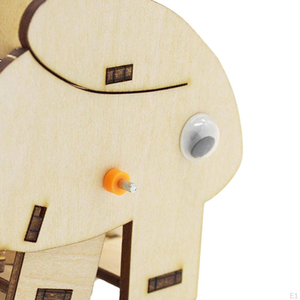 Science Project Model Kit Early Learning Toys Developing Intelligent for Teens Children Girls Boys