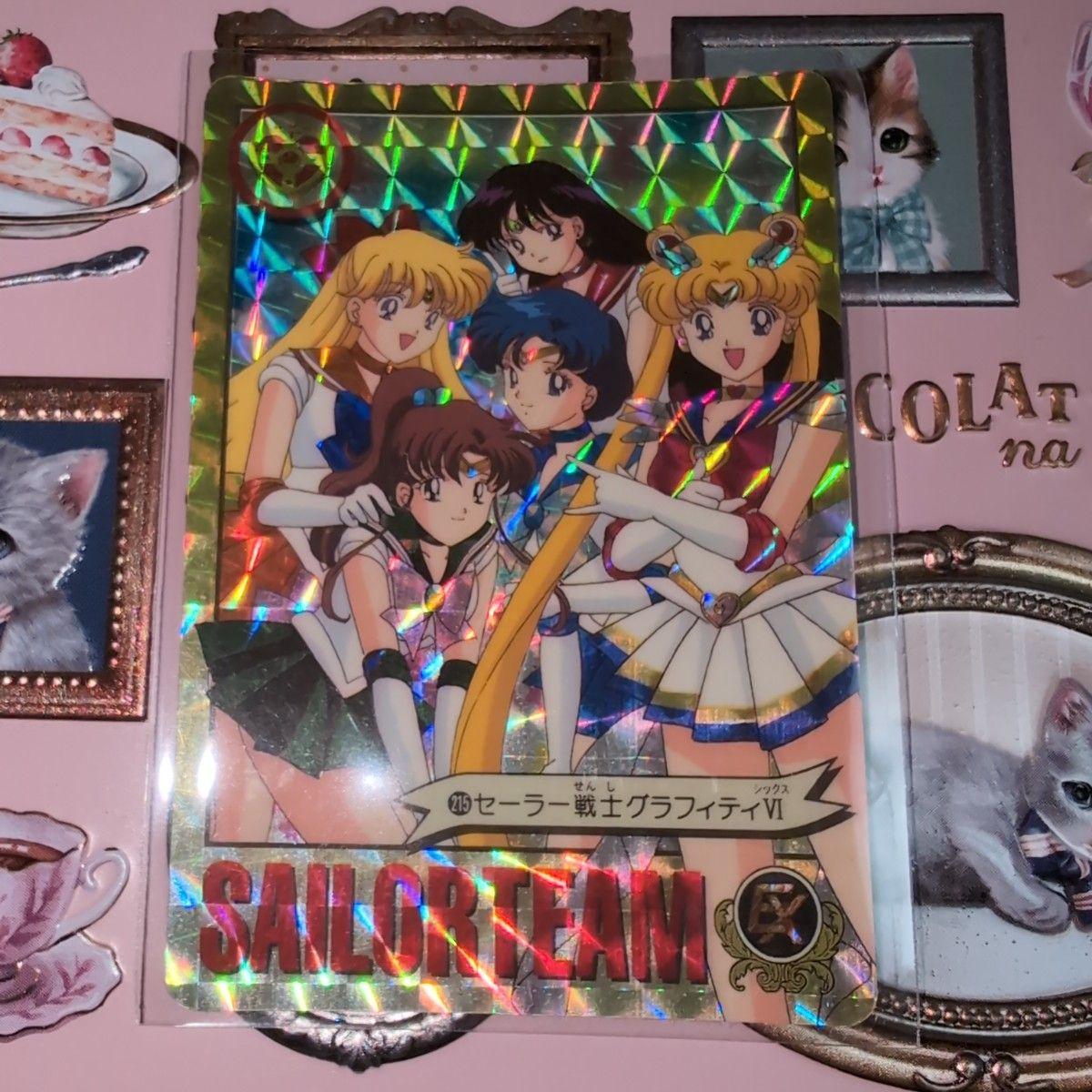 Used 1995 Sailor Moon S Carddass No.215 Sailor Senshi Graffiti