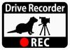 [CraftBunny] Sticker with Drive Recorder "Ferret and Video Camera" (Magnet)