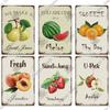 Putuo Decor Fruit Vintage Tin Sign Plaque Metal Plate Retro Wall Art Decoration Living Room Farm Garden Kitchen Iron Painting