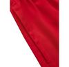 PITBULL Performance Pro Plus Shorts Small Logo II