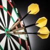 6 Pcs Steel Tip Darts Replacement Hard Steel Needle Practice Darts Professional Metal Darts Dartboard Accessories