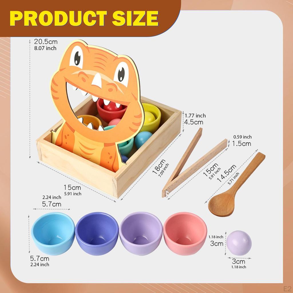 Rainbow Balls in Cups Matching Game Wooden Sensory Ball Children Development Educational Kids Color