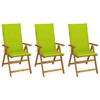 VidaXL Set of 3 Folding Garden Chairs with Cushions, Patio Seats, Dining Chairs, Patio Furniture 3064100
