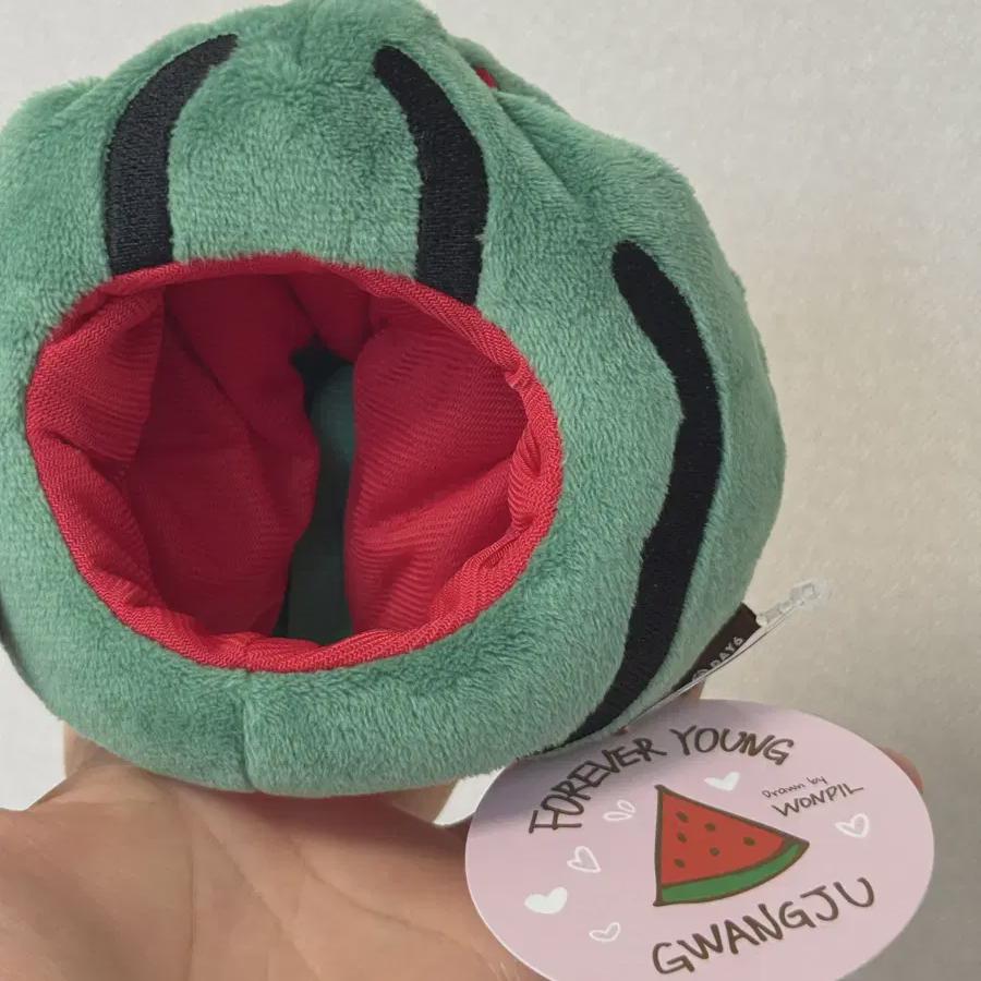 

DAY6 Костюм Арбуза для куклы