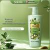 SukGarden Queen's Olive Oil Shampoo for Oil Control & Anti-Dandruff