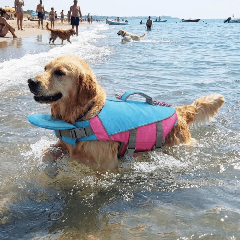 Large Buoyancy Pet Life Vest Adjustable Dog Swimsuit Safety Vest Surfing Adventures