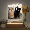 Personalized Pet Memorial Night Light Custom LED Photo Frame with Name Date Acrylic Wooden Stand for Loss Dog Cat Home Decor