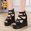 Hollow Roman Sandals Wedge Heel Heel Enhanced Thick-soled Muffin Shoes