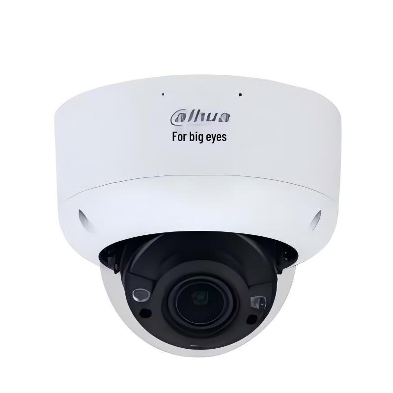 Dahua 4MP Vandal-Proof Network Dome Camera with Flame & Loitering Detection CN plug (adapter included)