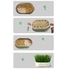 Pet Cat Grass Planter Box With Drain Holes Multifunctional Hydroponic Planting Tray Greenhouse Wheatgrass Growing Pot