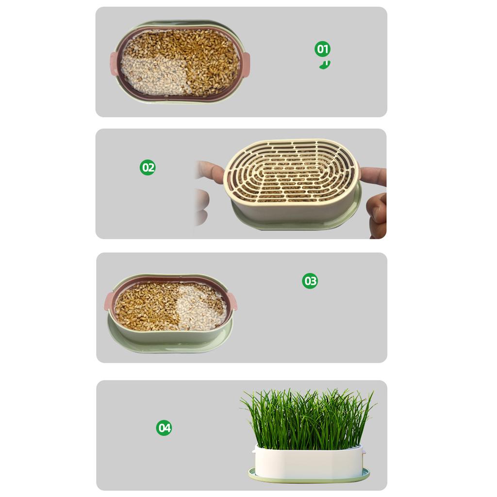 Pet Cat Grass Planter Box With Drain Holes Multifunctional Hydroponic Planting Tray Greenhouse Wheatgrass Growing Pot