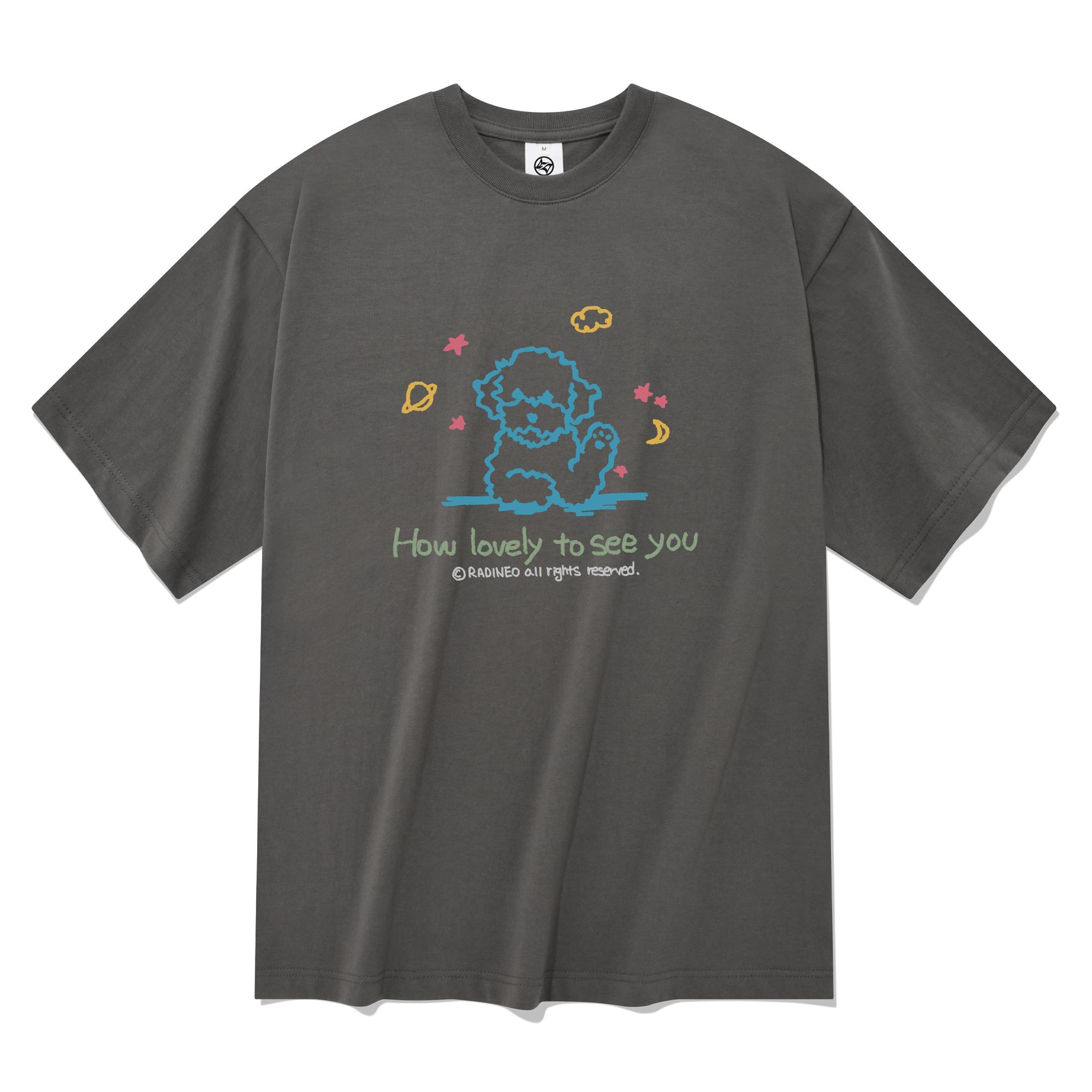 Radineo Lovely Short Sleeve T-Shirt Gray Gray (Gray)/S