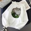Sevimli Karpuz Kedi Aptal Kedi Mems Baskılı Kapüşonlular 90'lar Günlük Sweatshirtler Grafik Y2k Kapüşonlu Kadın Gotik Sokak Giyim