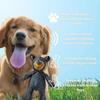 Cute Teddy Extreme Bear 2.0 Indestructible Dog Toy Mighty Squeaky Stuffed Plush Fun for Aggressive Chewers Keeps Dogs Busy