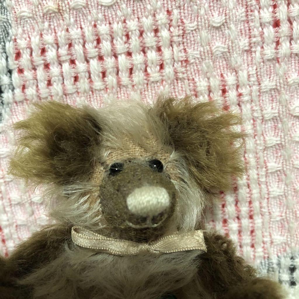 [USED] Teddy Bear Artist, Bear, Stuffed Animal, Used Item
