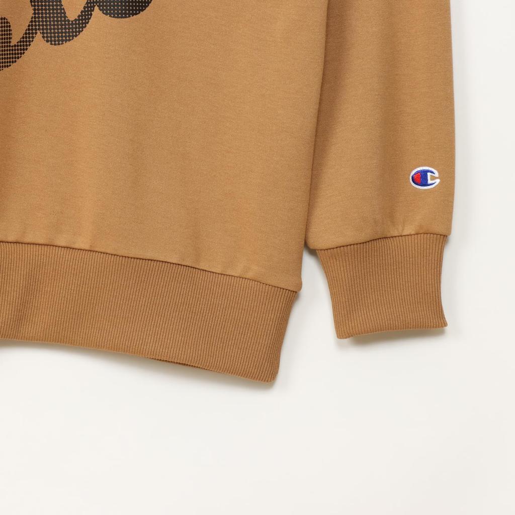 Champion Long Sleeve Fleece Hooded Sweatshirt with Rubber Schoolboy Mocha Kids' Print, CK-AS106,