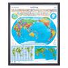 3D Vertical World Relief Map