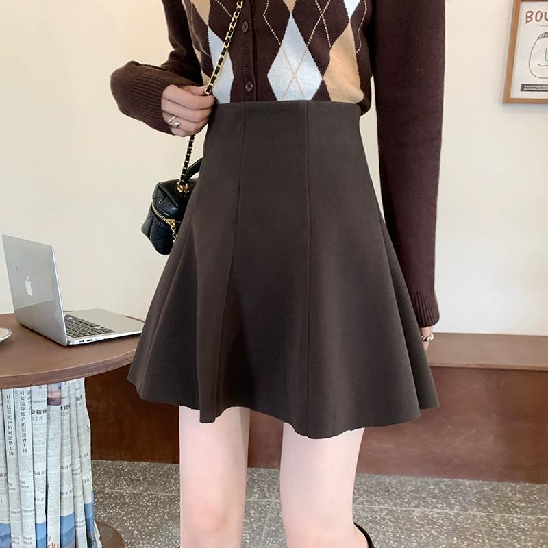 Woolen Skirt for Women  Autumn Winter Plus Size High Waist Small A-line Pleated Skirt Shorts Korean Fashion Clothing