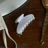 JELLY CLAW CLIP_OPAL WHITE