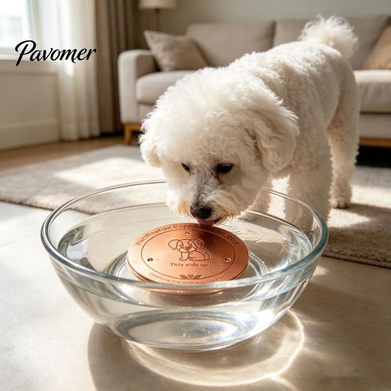 Pure Copper Disc for Dog Water Bowl Purification Dog, 4-Inch Diameter Disc, Raised Fountain with 3-Point Support Dispenser Durable