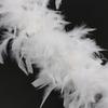 2m Feather Boa Christmas Tree Decoration White Feather Boa Ribbon Feathers Dress Garland Decorative Feathers Wedding Shawl C2W6