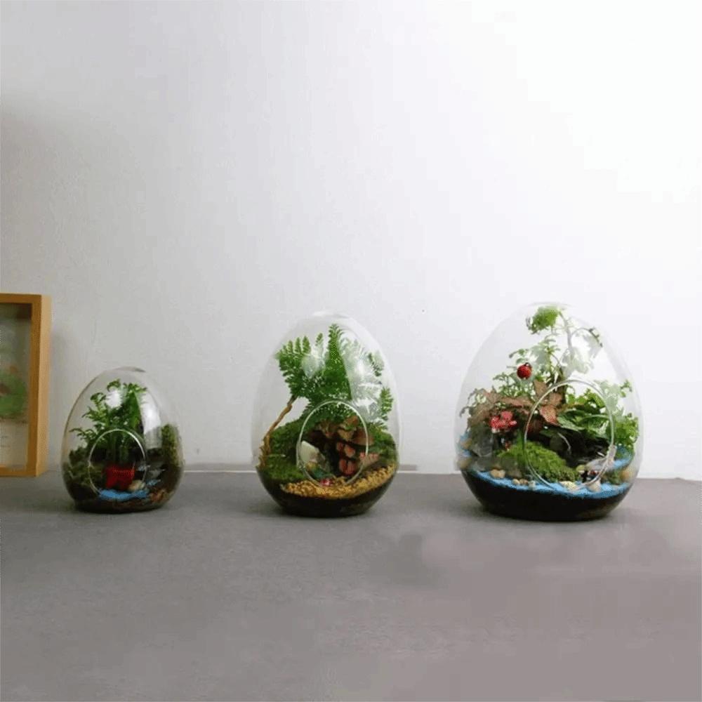 Transparent Succulent Glass Vase Beautiful Micro Landscape Moss Bottle Balcony