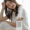 Double Spray Humidifier Large Fog Volume USB Portable Desktop Humidifier for Car