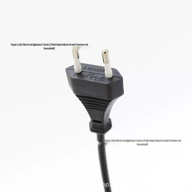 Two-Core European Round Plug Power Cord for Hair Straighteners & Curling Irons