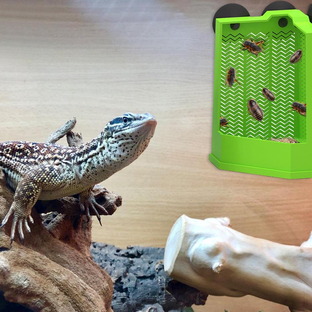 Reptilnapf Frosch Futter Napf Saugnapf Gecko Futterspender Für Becken Kletter Futterspender Becken Zubehör Für Schlangen Züchter Vogel Eidechse