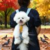 Cross-border wholesale pet backpack going out portable chest four-legged backpack dog cat travel breathable soft bag